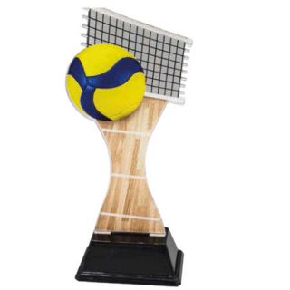 Trofeo Vóleibol 22705