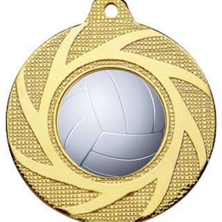 Medalla pelota Voleibol 6