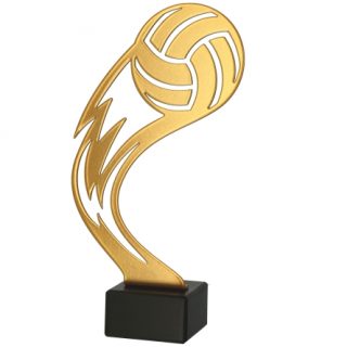 Trofeo Voleibol ML